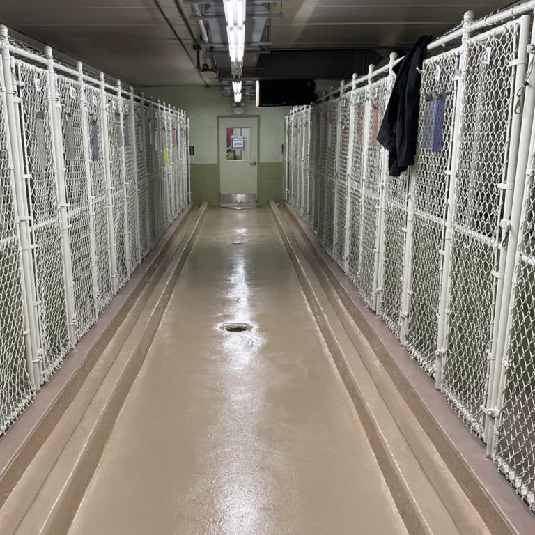 dog kennel flooring