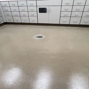 Movable Floors in Veterinary Pools